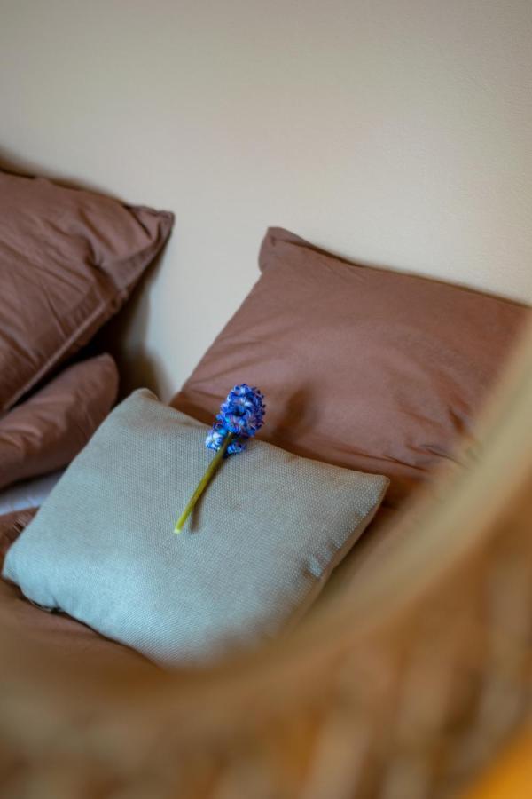 Mosters Bed & Breakfast Guldborg Экстерьер фото
